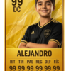 Escudo personalizado