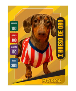 Cromo de fútbol Mascotas
